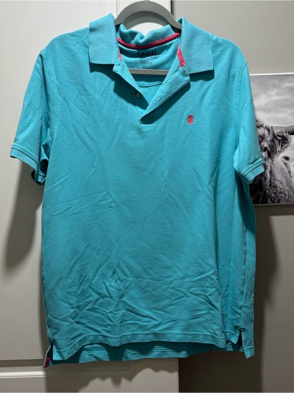 Izod men’s polo
